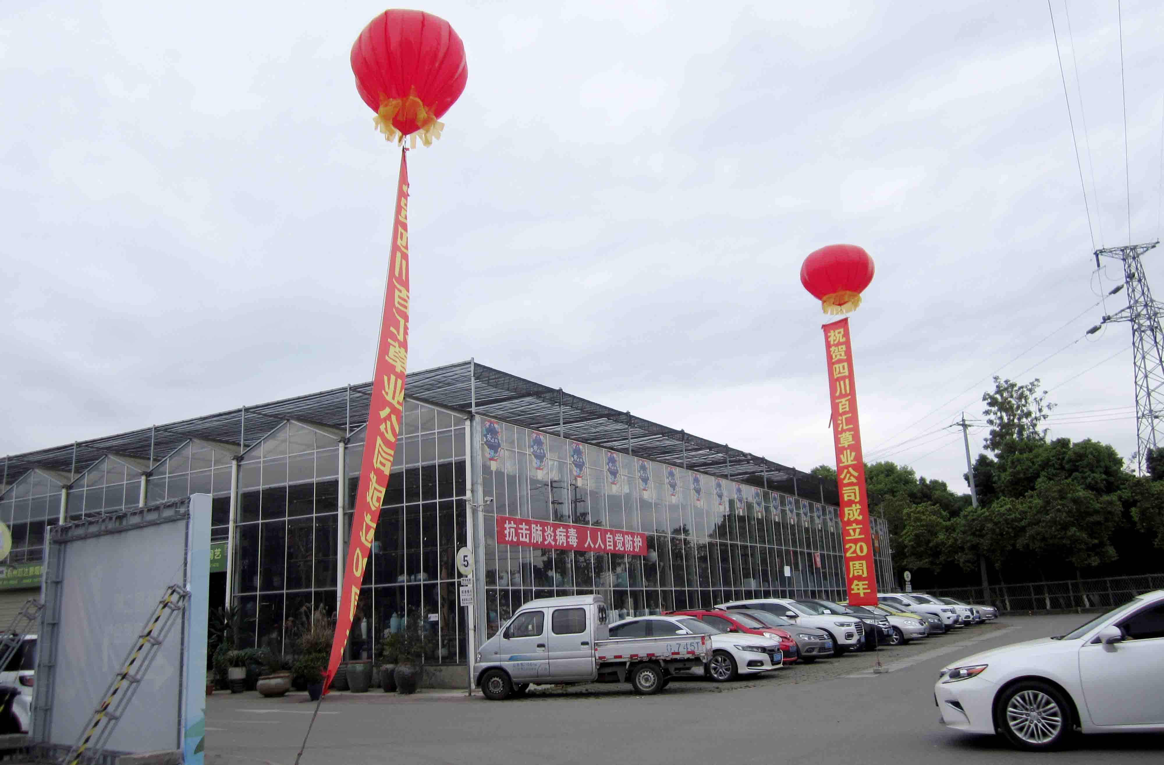 四川格?；ǚN子